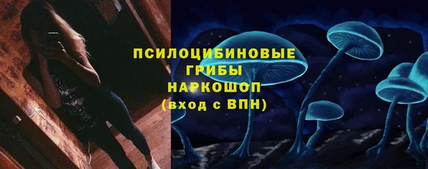 mdpv Белокуриха