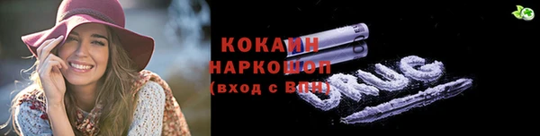 стаф Богородск