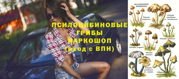 сатива Белоозёрский