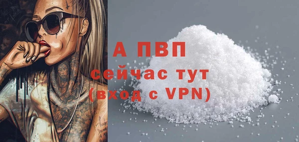 сатива Белоозёрский