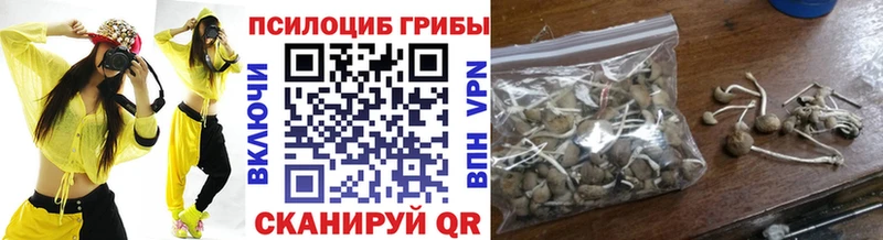 Купить где Остров Псилоцибиновые грибы GOLDEN TEACHER